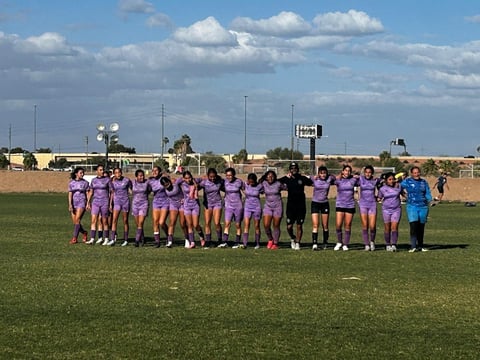 Youth soccer team in purple jerseys standing together on grass field under blue sky